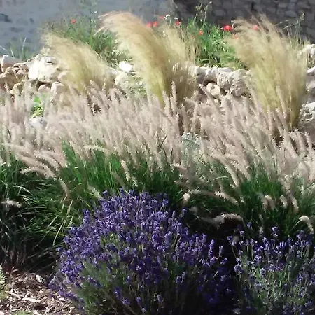 Σπίτι διακοπών Les Bories En Champagne *